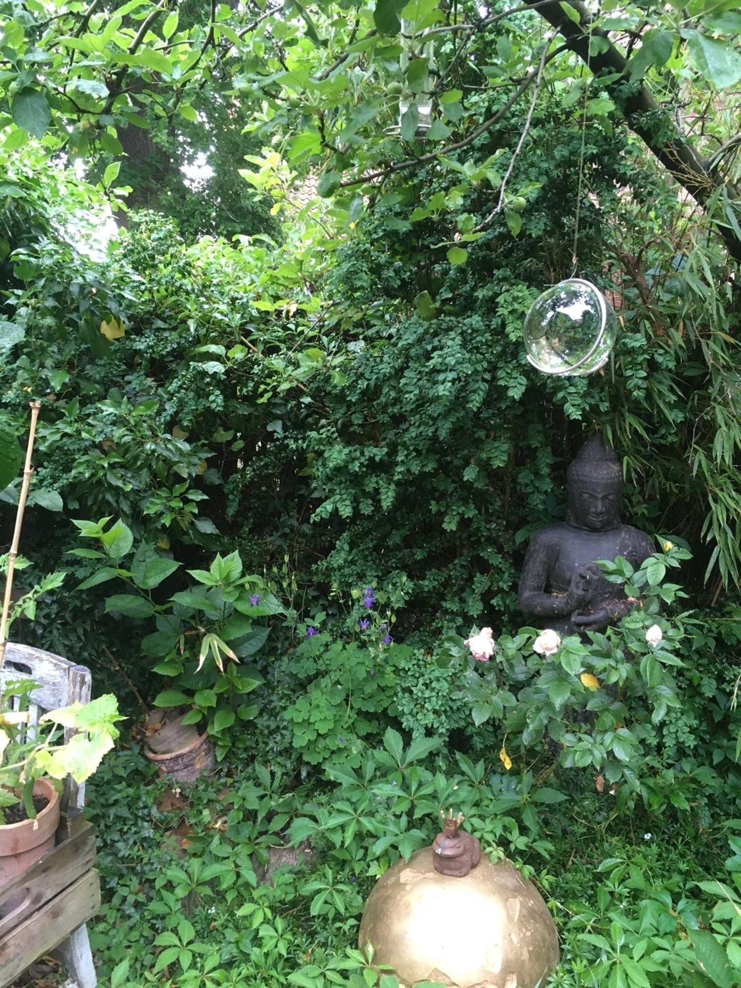 Grosse Hobbithoehle Mit Gemeinschaftsgarten Neustadt am Rubenberge Luaran gambar