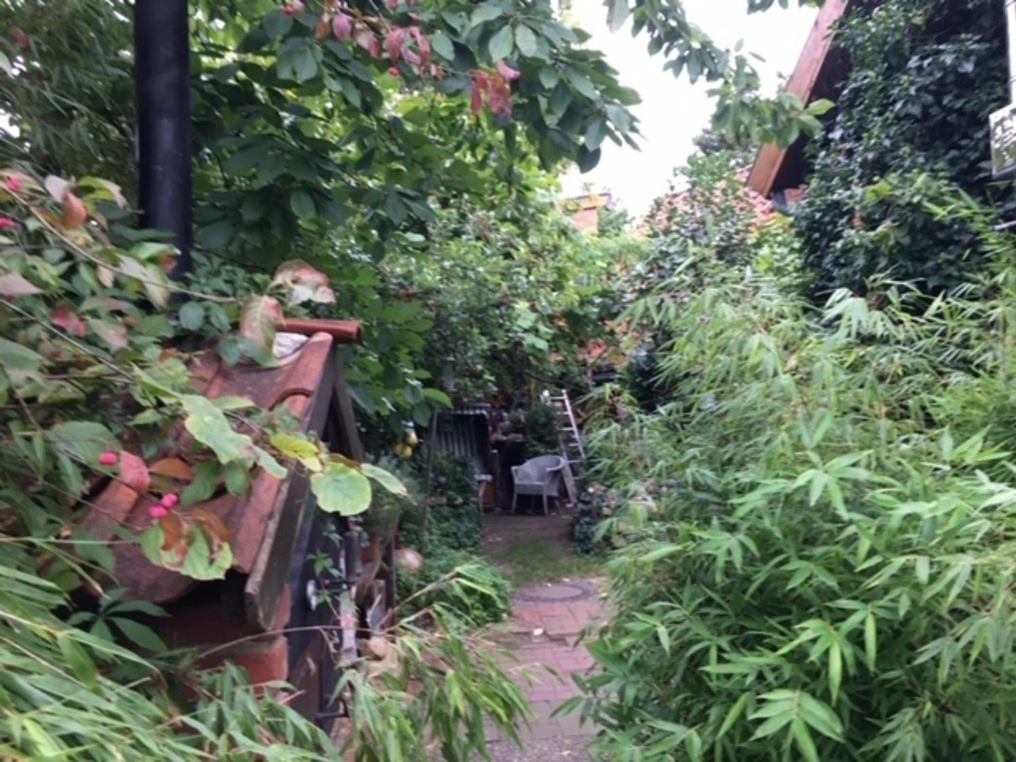 Grosse Hobbithoehle Mit Gemeinschaftsgarten Neustadt am Rubenberge Luaran gambar